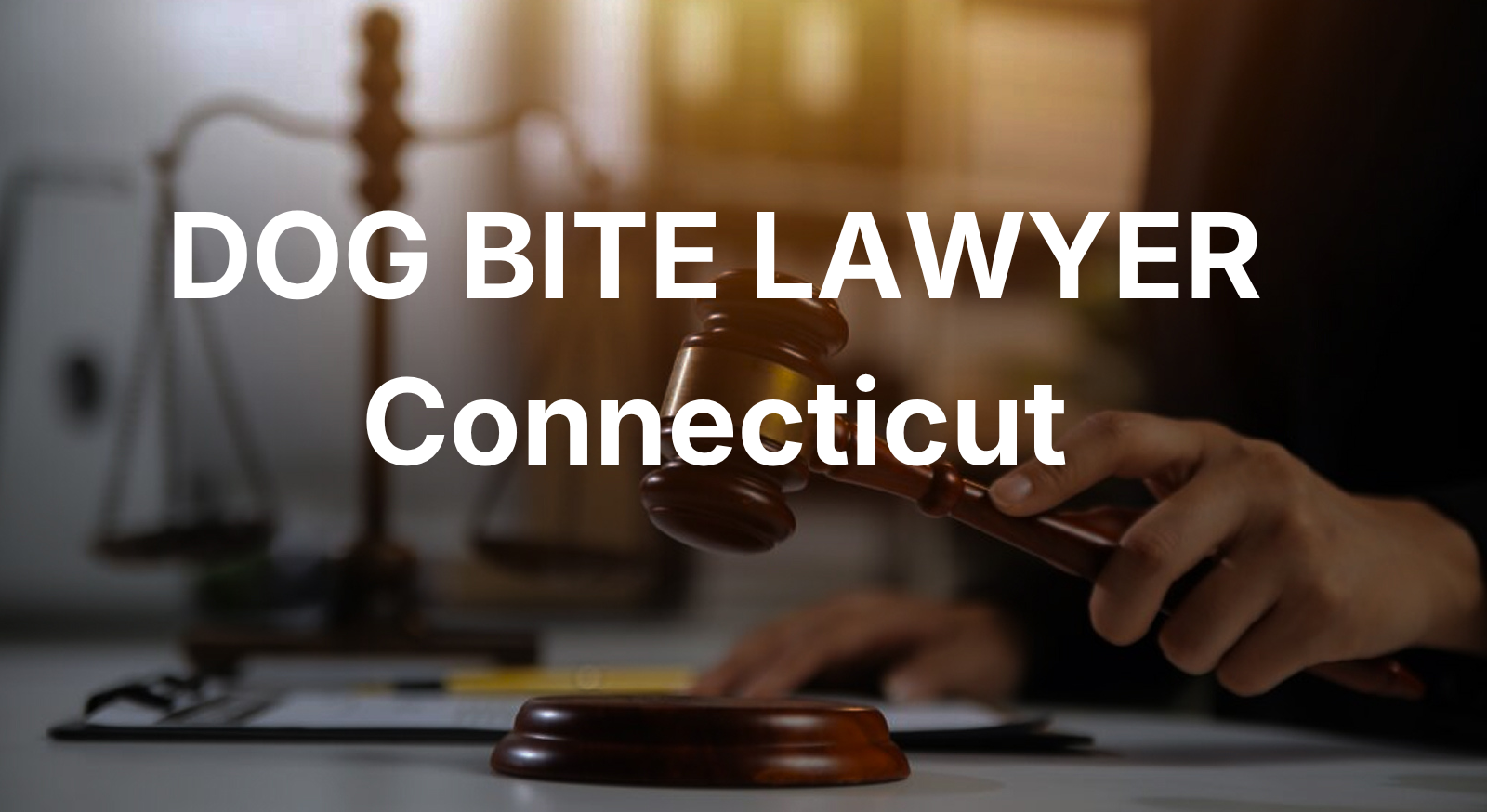 Dog bite lawyer in Connecticut — free consultation for injured victims