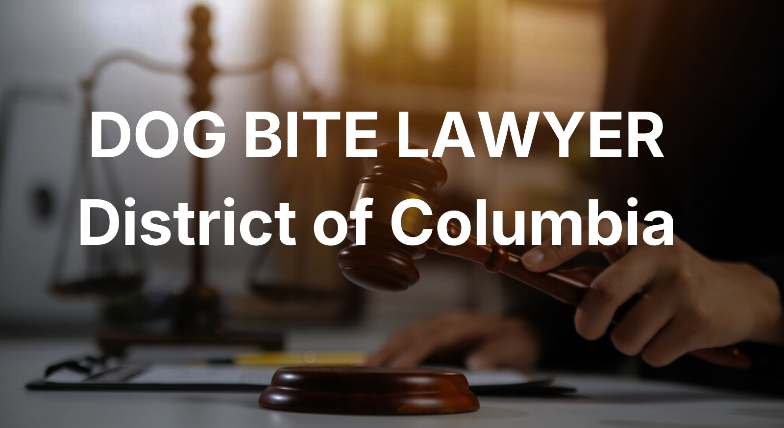 Dog bite lawyer in District of Columbia — free consultation for injured victims