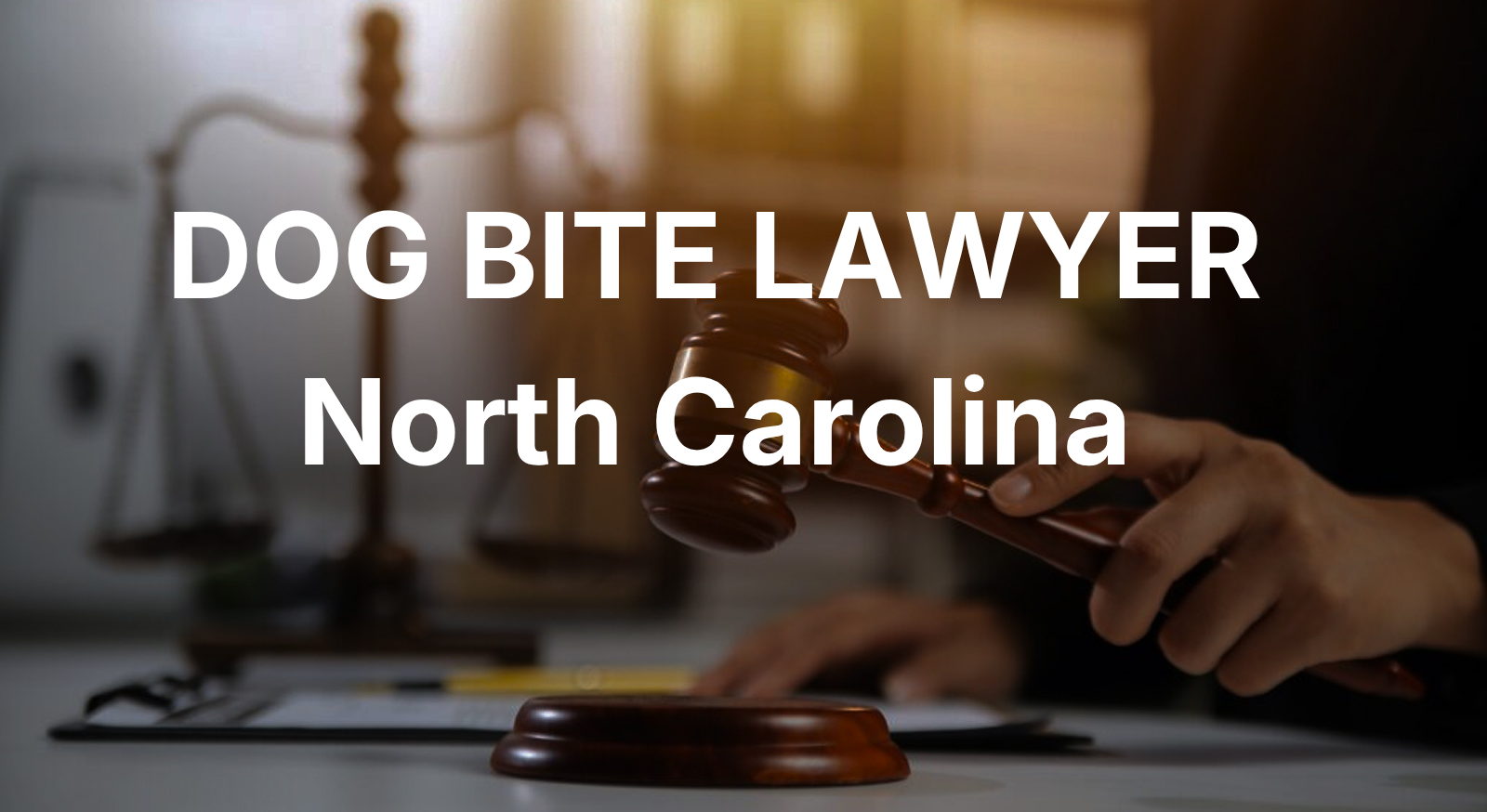 Dog bite lawyer in North Carolina — free consultation for injured victims